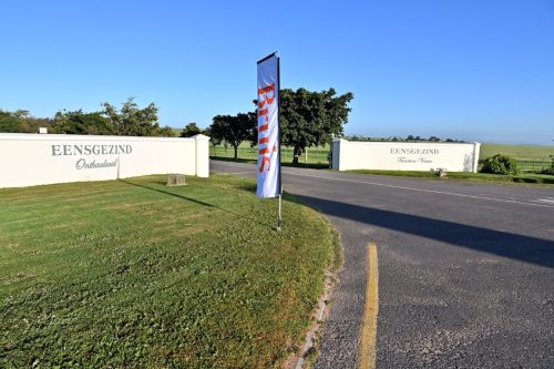 2025-Bruis-Kaap-Kuier-001