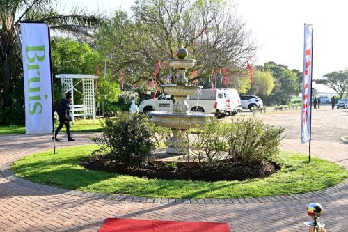 2025-Bruis-Kaap-Kuier-013